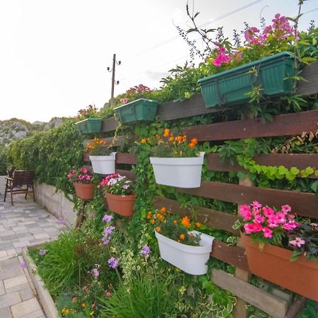 Village Holiday Apartman With Heated Pool Maslina Kostanje Dış mekan fotoğraf